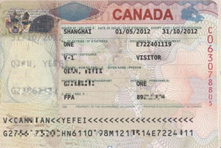 跨国旅行签证指导
